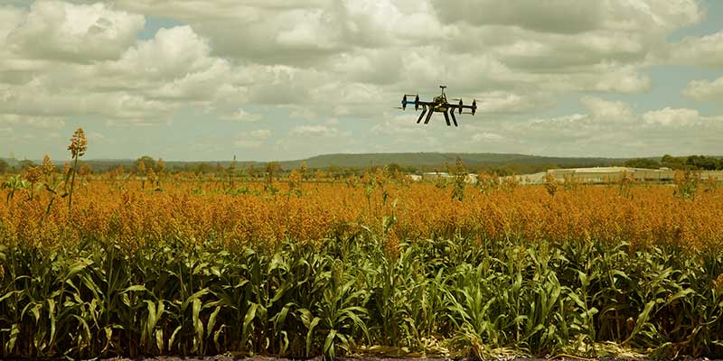 Shows Real Harvest Status - Drone Technology and Agriculture - A Happy Marriage