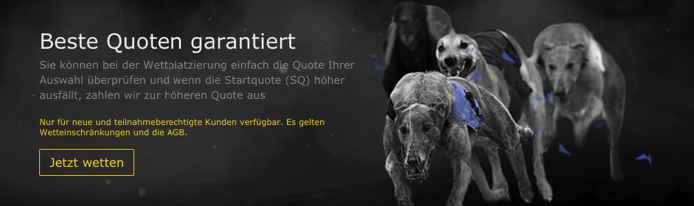 Lukrative Quoten bei bet365