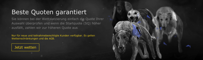 Beste Quoten bei bet365